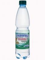 Вода питьевая "Земляничные поляны" негазированная 0.5л ЧЗ